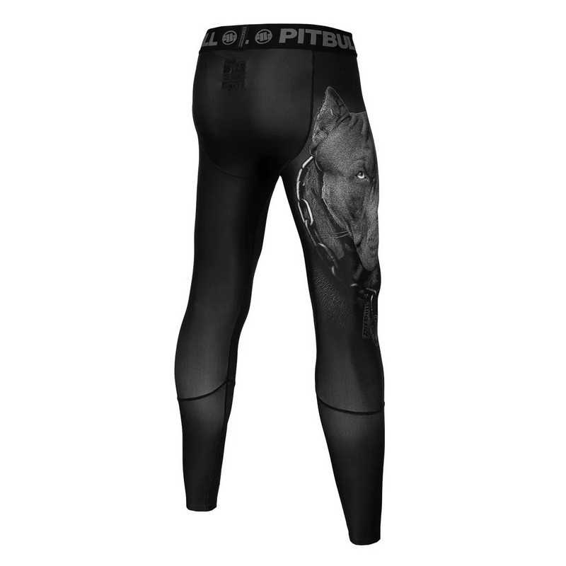 PIT BULL LEGGINSY BORN IN 1989