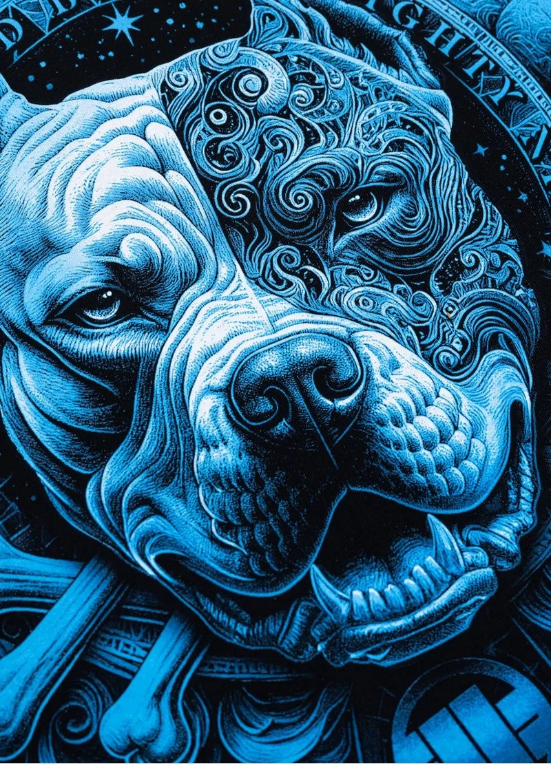 PIT BULL KOSZULKA PITBULL WORLD