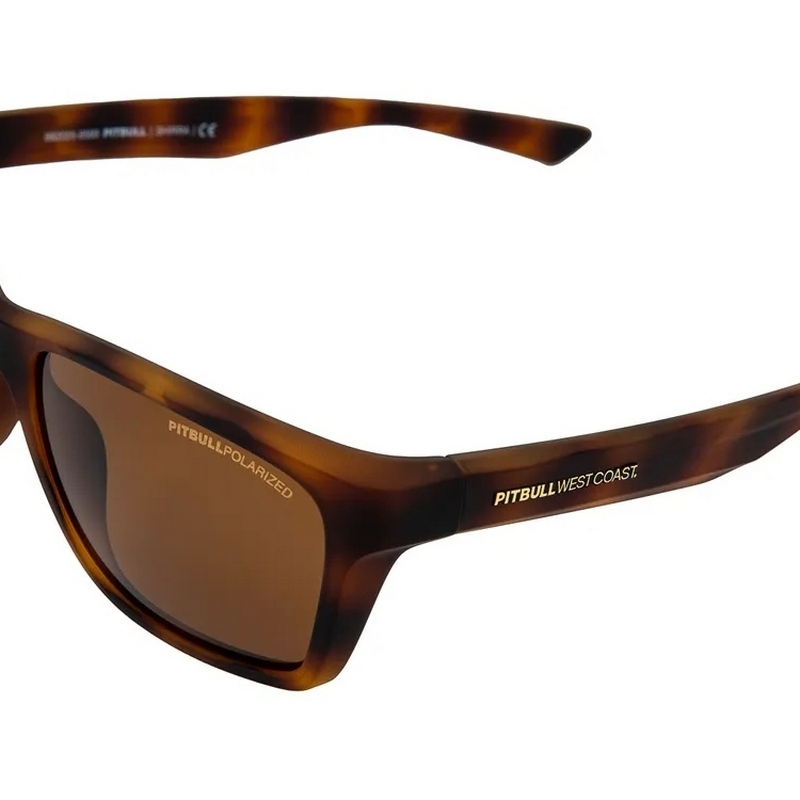 PIT BULL OKULARY PRZECIWSŁONECZNE SHIRRA BROWN