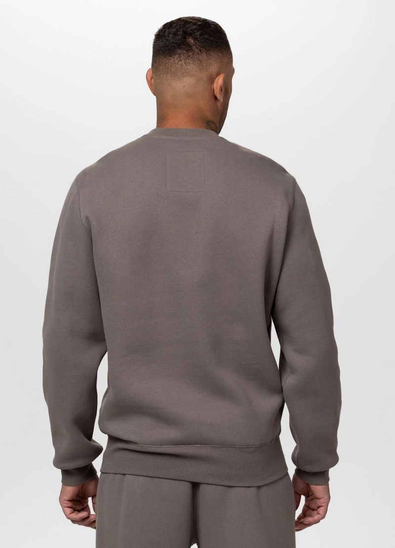 PIT BULL BLUZA CREWNECK SMALL LOGO HD
