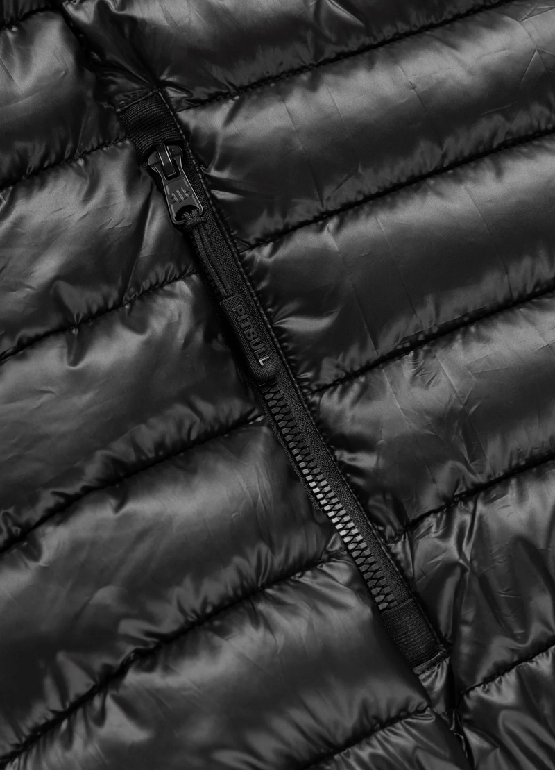 PIT BULL KURTKA HARPER