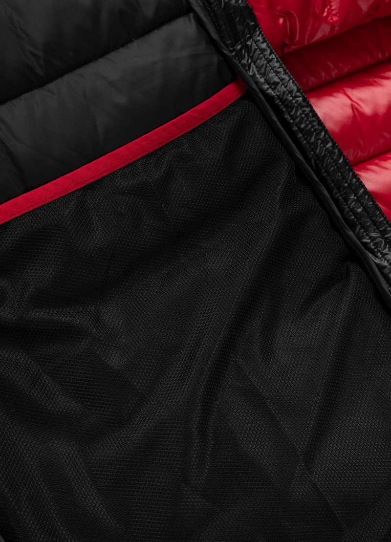 PIT BULL KURTKA SHATTO