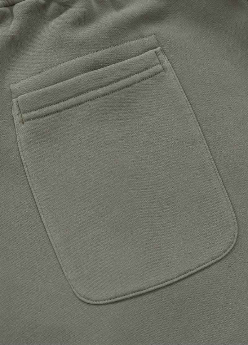 PIT BULL SZORTY LANCASTER GRAY HARBOUR