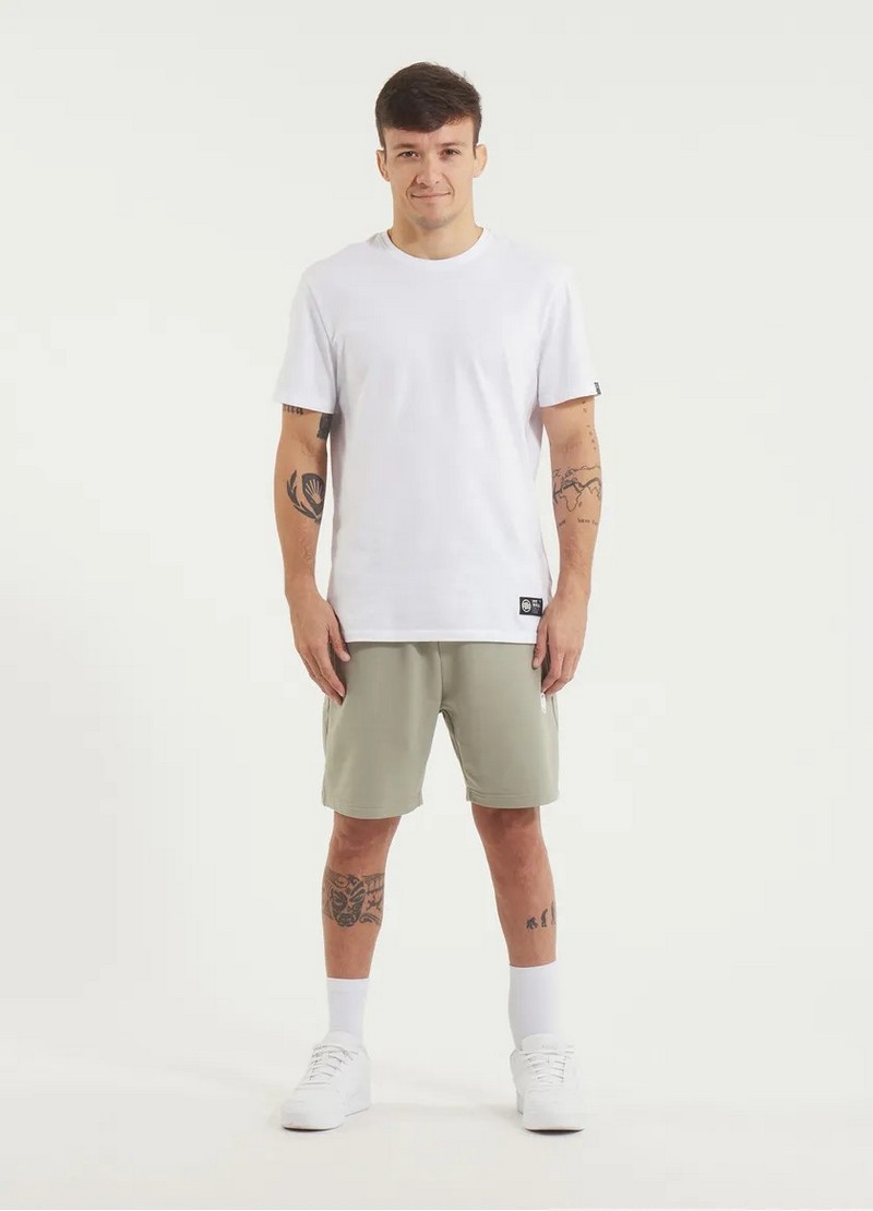 PIT BULL SZORTY NUGGET DUSTY SALVIA