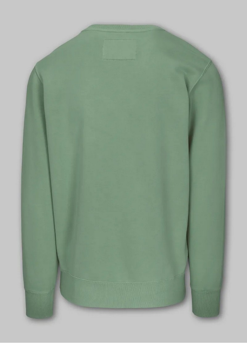 PIT BULL BLUZA CREWNECK LANCASTER WASHED GREEN
