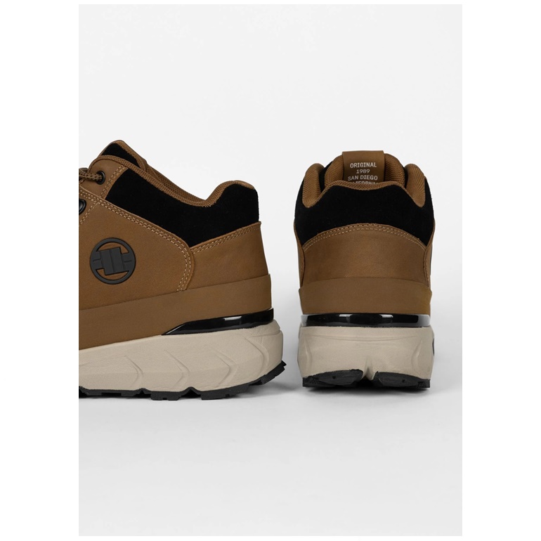 PIT BULL BUTY CABRILLO BROWN