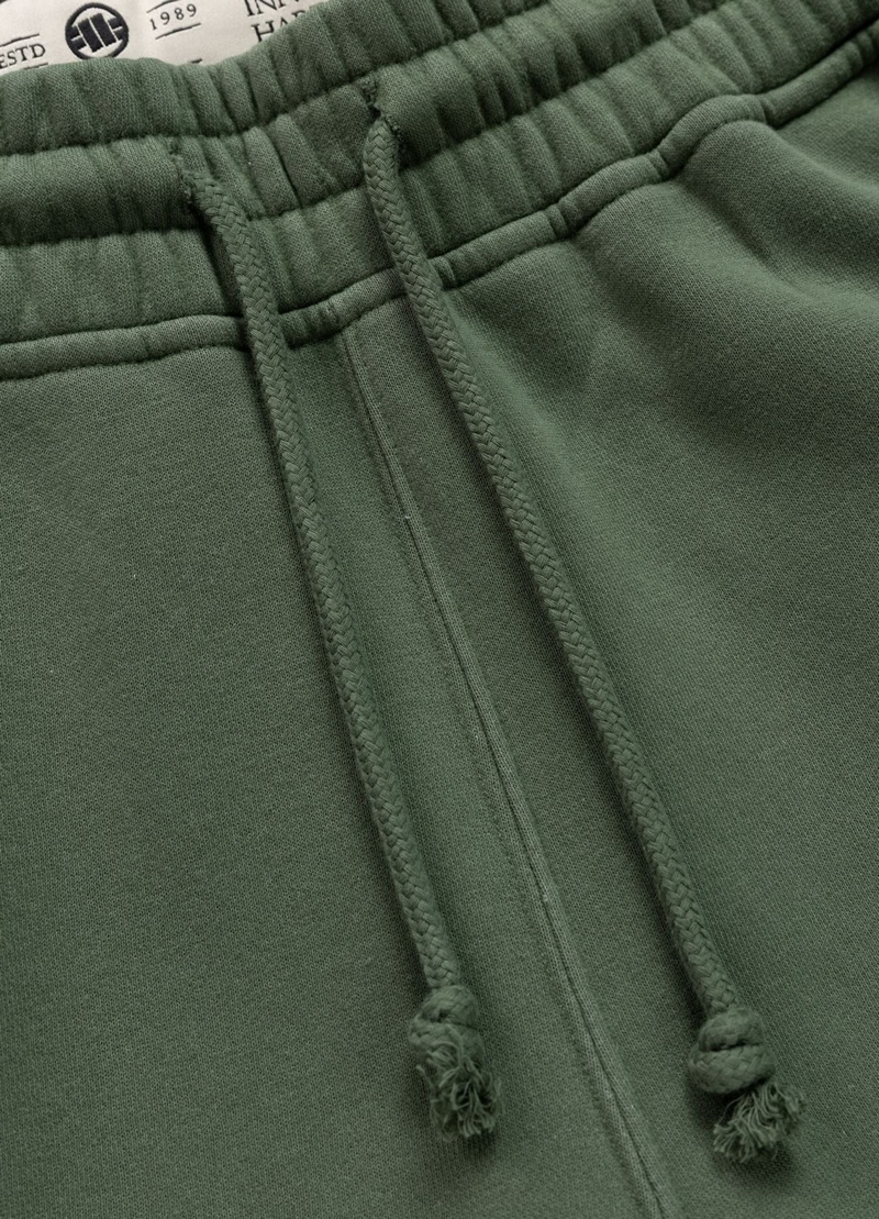 PIT BULL SPODNIE DRESOWE LOVIA SWEATPANTS SAGE GREEN