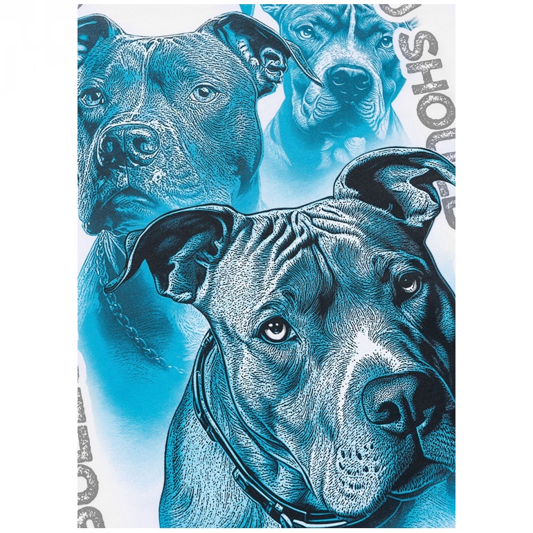PIT BULL KOSZULKA PROTECTOR
