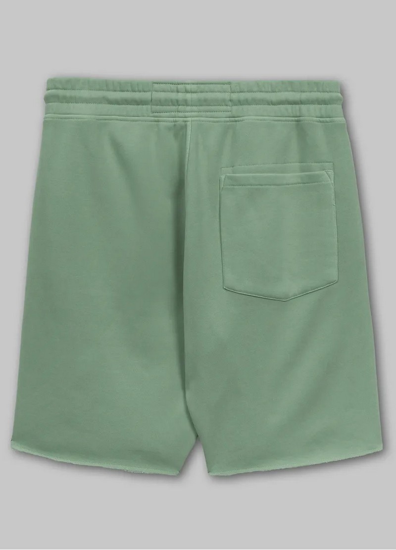 PIT BULL SZORTY LANCASTER WASHED GREEN