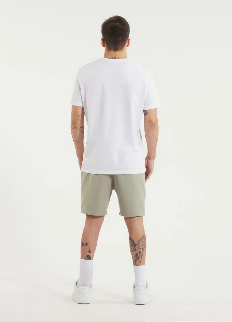 PIT BULL SZORTY NUGGET DUSTY SALVIA