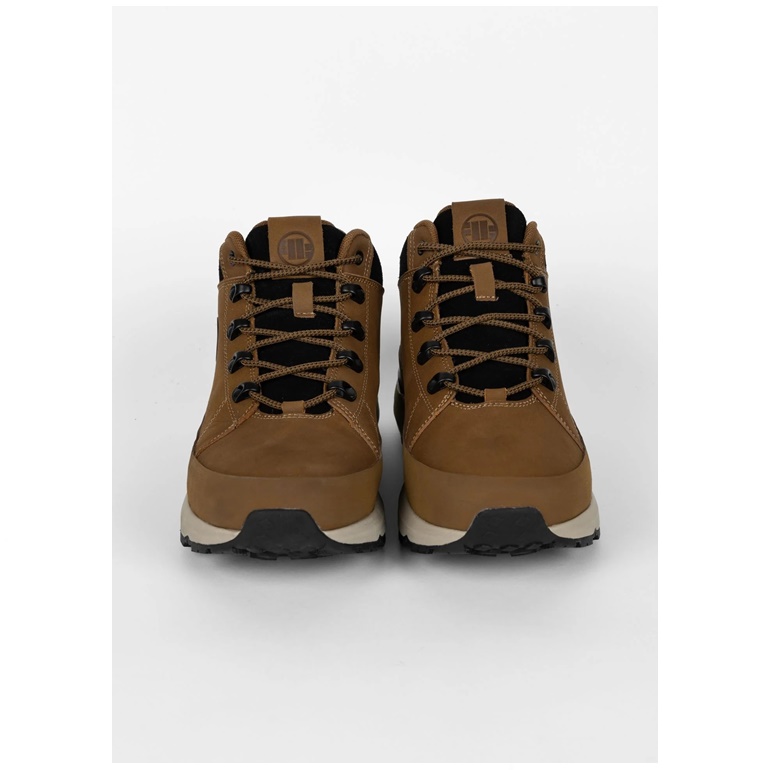 PIT BULL BUTY CABRILLO BROWN