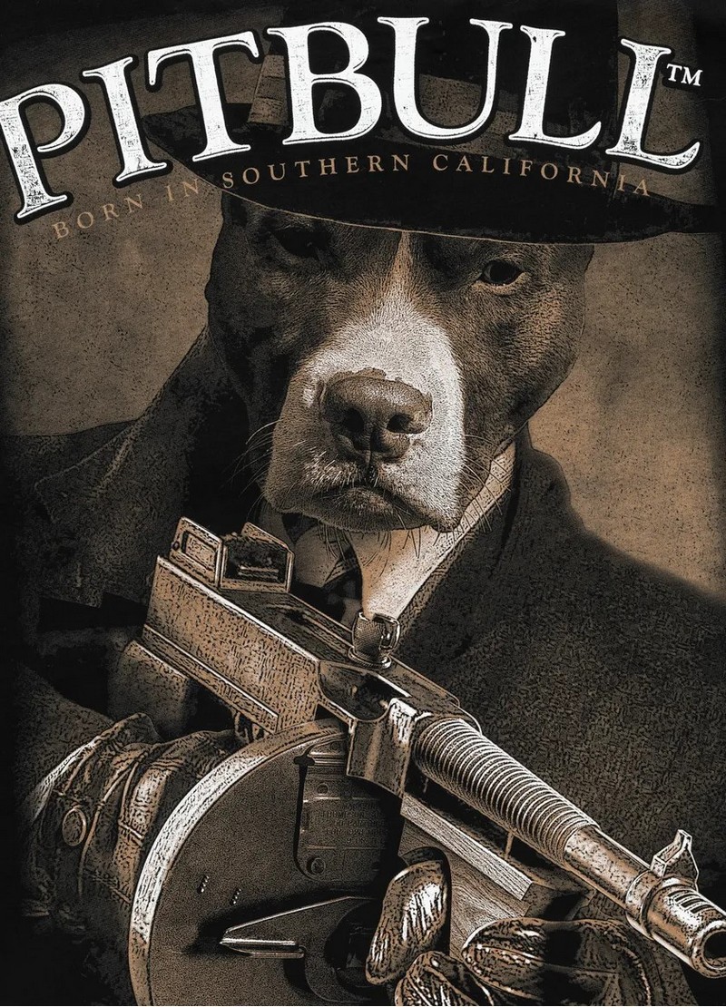 PIT BULL KOSZULKA TOMMY GUN