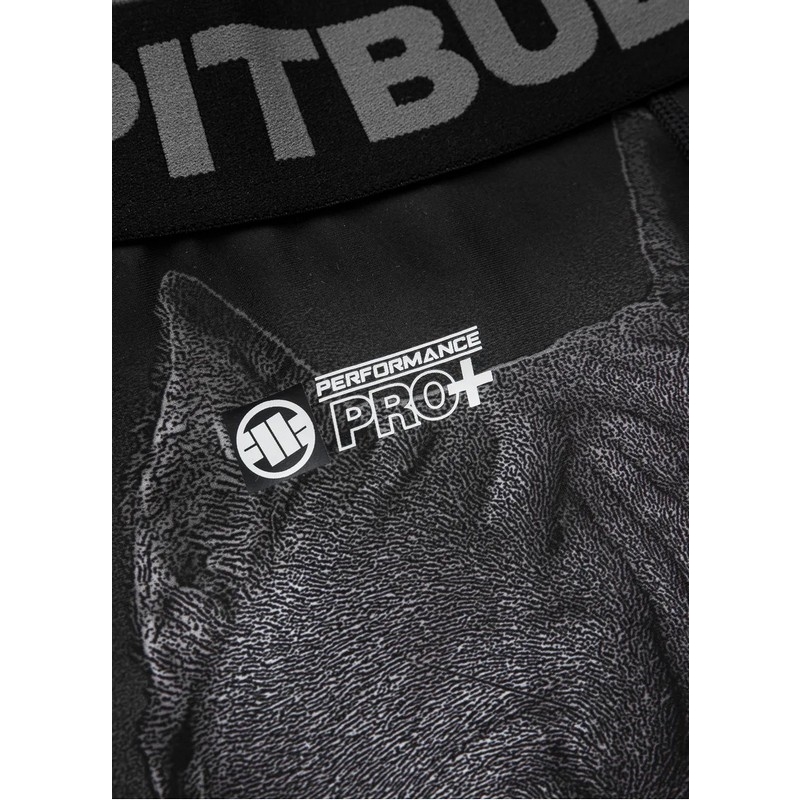 PIT BULL LEGGINSY BORN IN 1989