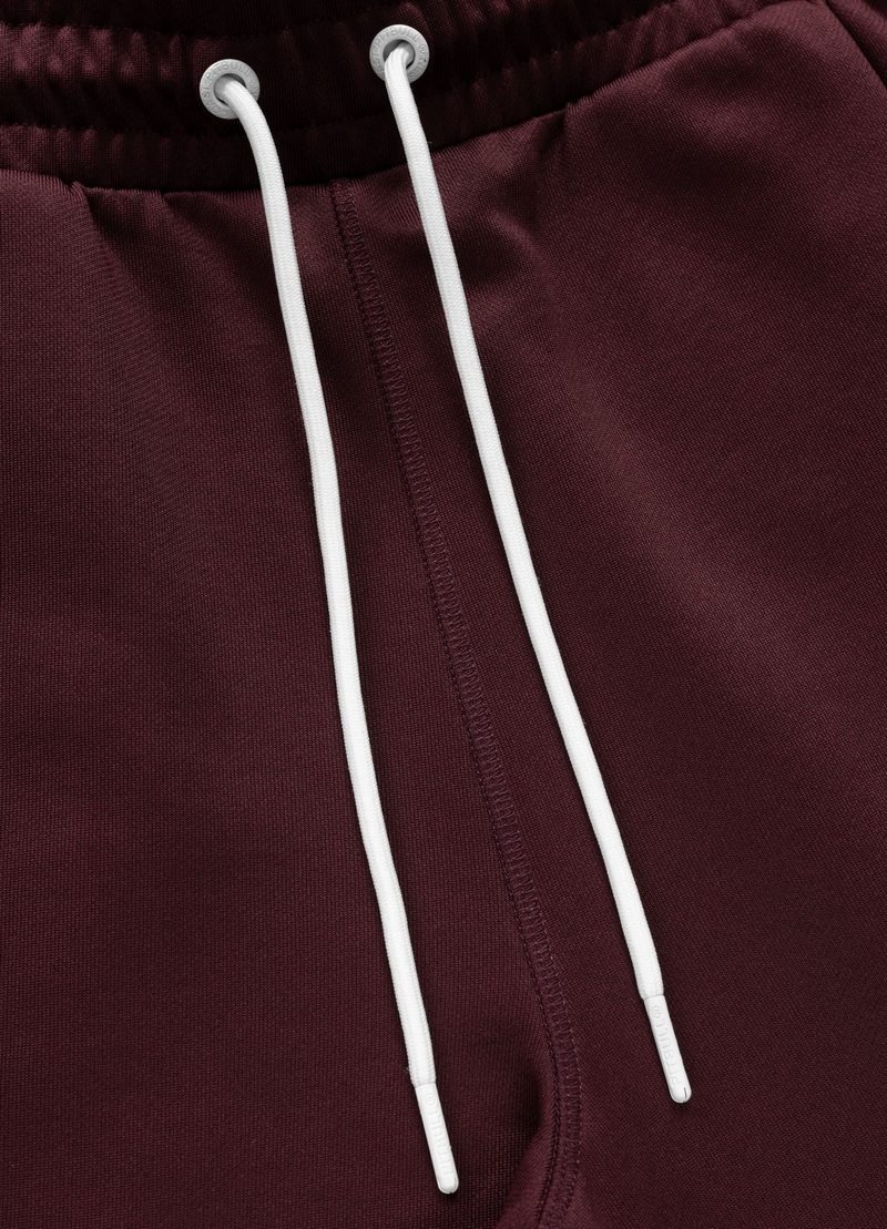 PIT BULL SPODNIE DRESOWE TAPE LOGO BURGUNDY