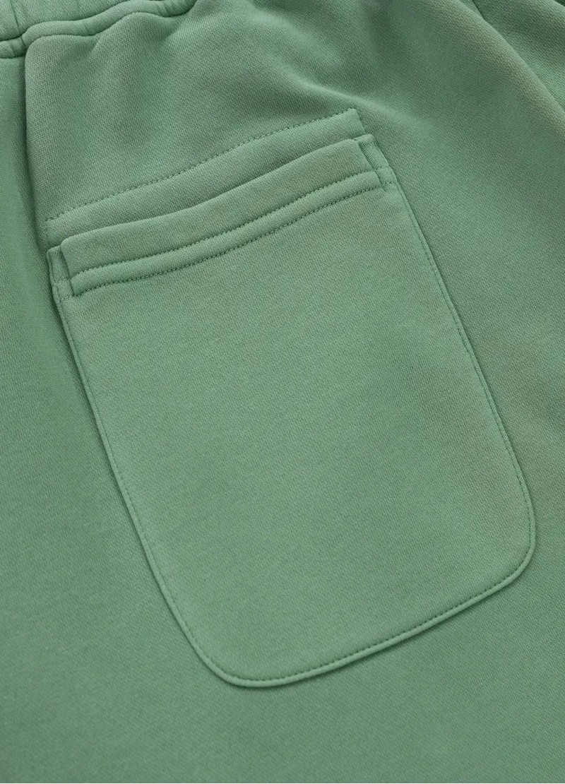 PIT BULL SZORTY LANCASTER WASHED GREEN