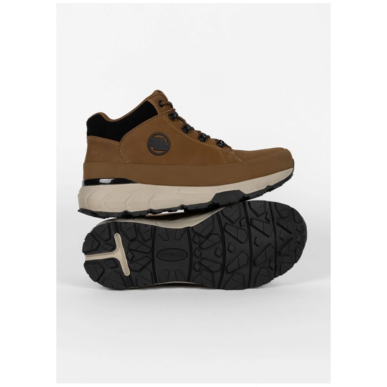 PIT BULL BUTY CABRILLO BROWN