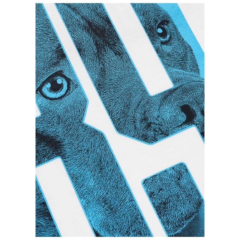 PIT BULL KOSZULKA EIGHTY NINE WHITE