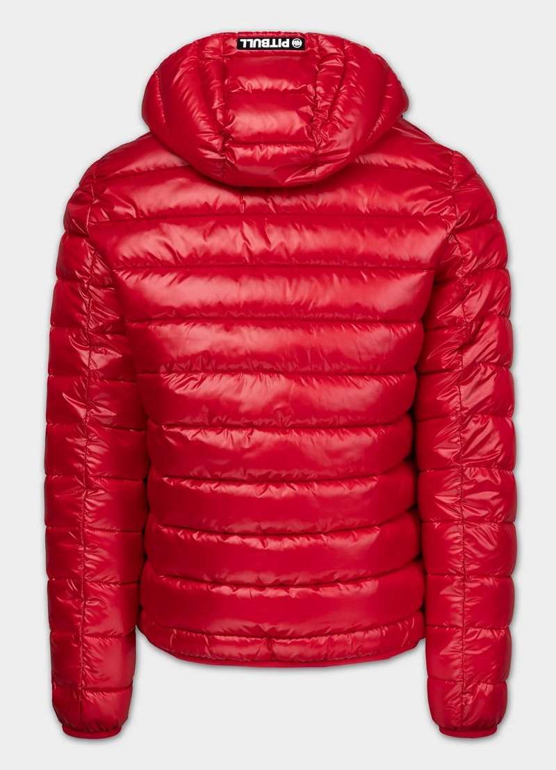 PIT BULL KURTKA SHATTO