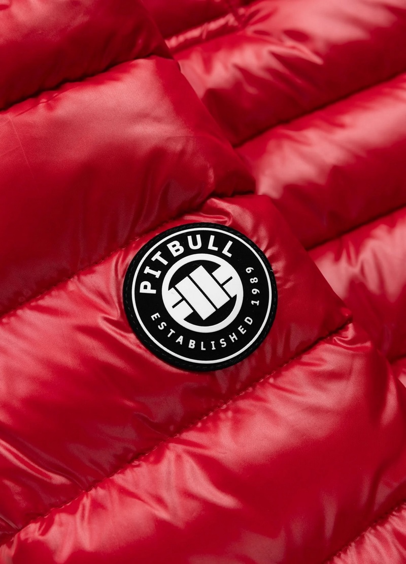 PIT BULL KURTKA SHATTO