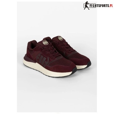 PIT BULL BUTY ENCINO DARK BURGUND 